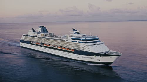 Celebrity Infinity