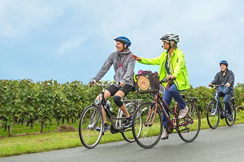 Onboard Bikes