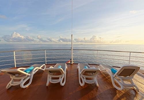 Sun Deck