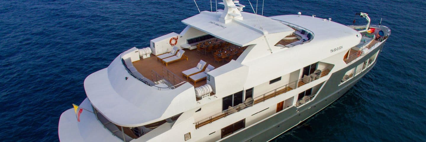 MS Infinity