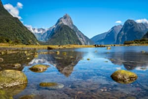 Cruise Fiordland National Park