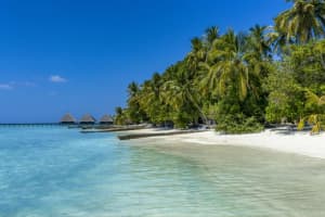 Maldives