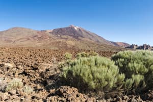 Tenerife