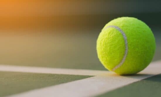 Paddle Tennis Court