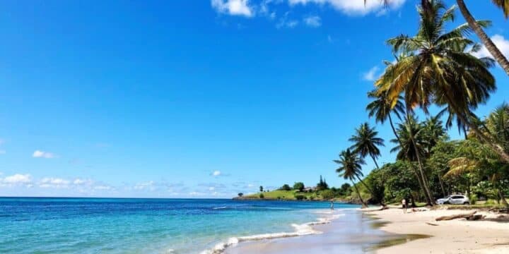 Untitled design (12)